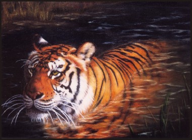 Tiger
   Painting