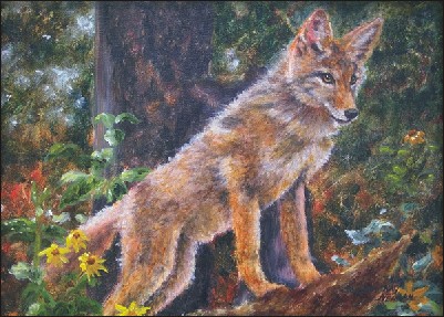 Coyote
      Pup Painting